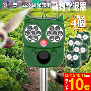 Ԍ!|Cg5{10{ފ Qbފ 4Zbg g tbVCg x L͈ ZT[ \[[ z USB[d h 5[h L  lY~  Qb 悯 ȒP 