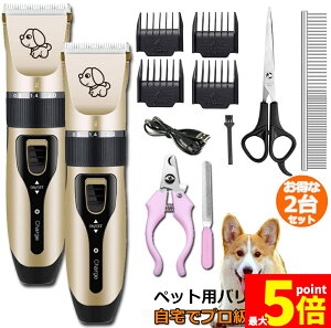 ���労�ӍՁI�|�C���g5�{���y�b�g�p�o���J�� 2�Z�b�g ���p�o���J�� �L�p�o���J�� �v���p �ƒ�p �g���~���O 11�_�Z�b�g USB�[�d 4�i���x���� �ᑛ�� ��e�ʃo�b�e���[ �d�C�ʃf�B�X�v���C 