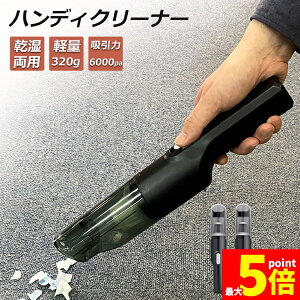 Ԍ!|Cg5{10{nfBN[i[ 2Zbg ԗp|@ R[hX   J[N[i[ [d nfB|@ ԍ 120W 6000pa y |@ pN[i[ U