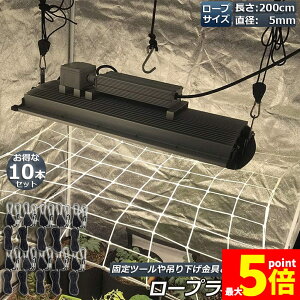 Ԍ!|Cg5{10{[v`Fbg 10{Zbg [vnK[ בxg tbN Jri ݂艺 ג@ [v 2m nK[  ֗ ^[veg BBQ AEghA 