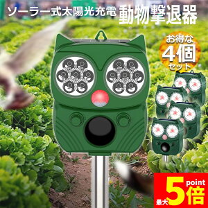 Ԍ!|Cg5{10{ފ Qbފ 4Zbg g tbVCg x L͈ ZT[ \[[ z USB[d h 5[h L  lY~  Qb 悯 ȒP 