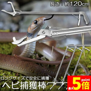 Ԍ!|Cg5{10{wrߊl_ 3{Zbg wr ߊl  ܂肽 wrߊl gO  ւ nu ގ ߊl ߊl_ ΍  쏜 Aj}Lb`[ @ Xl[NL