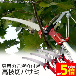 Ԍ!|Cg5{10{}؂oT~ 3Zbg [v }؂̂ }mRM }؂oT~ } y ͂ K[fjOpi  ʎ ̎ } nT~ 