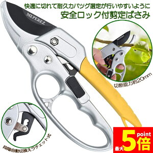 Ԍ!|Cg5{10{΂ `Fbg  |p͂ }؂΂ A~ `Fbg΂ ɂ y }  ~ 뉀 A  } K[fj