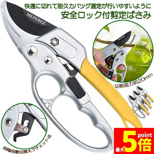 Ԍ!|Cg5{10{΂ `Fbg 3Zbg  |p͂ }؂΂ A~ `Fbg΂ ɂ y }  ~ 뉀 A  } K