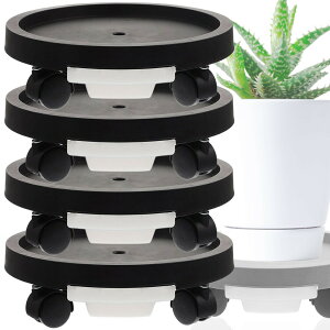 |Cg5{ }\Z[LX^[tAؔ Aؔ v^[ 3J[ t[X^h LX^[  u O g[ | ړ  