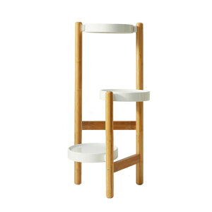 Ԍ|Cg5{t[X^h   3i 3 u u v^[ AX^h bN K[fjO Aؔ ~ | I [ Sf |f   킢 V