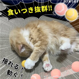 【超P祭り ポイント2倍】ペットのおもちゃ 電動ボール 2色選べる 犬 猫 猫じゃらし 猫ボール 自動 充電式 回転 振動 移動 光る ストレス解消 運動不足解消 ダイエット 肥満 留守番 キャット ドッグ オモチャ 玩具 遊び