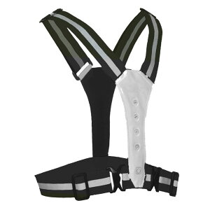 LEDSxXg [d   ˃xXg SxXg LED Cg _  邢    ƒ d ʐ jO TCNO ] x x U ʋ ʊw TCY