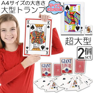 gv rbN gv 2Zbg ^ 傫 A4TCY gv gvJ[h   Vlz[ NG[V i oo x 唗 v[g Cxg p[eBQ[