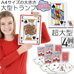 gv rbN gv 4Zbg ^ 傫 A4TCY gv gvJ[h   Vlz[ NG[V i oo x 唗 v[g Cxg p[eBQ[