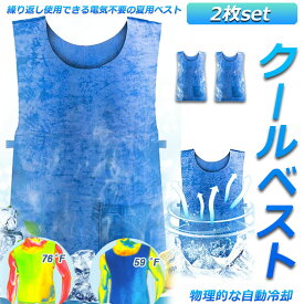 冷却ベスト 水冷 クールベスト 2枚セット 冷感ベスト 空調服 物理冷却 熱中症 猛暑対策 冷却服 ひんやりグッズ 保冷 工事現場 工場内 屋外 スポーツ 冷感 涼しい 保冷服 農業 屋外作業 釣り 暑さ対策 夏用 送料無料