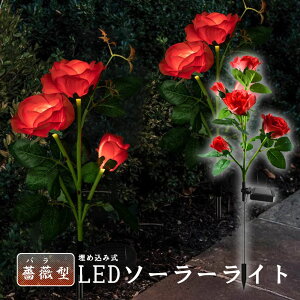 \[[Cg O K[fCg 胉Cg ߍݎ h  ZT[ LEDK[fCg ߍݎ ԏ胉Cg   Ő [YCg o KN K[fjO t