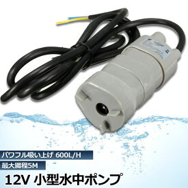 【超P祭り ポイント2倍】水中ポンプ12v 海水 小型 水道水 地下水 排水ポンプ 循環ポンプ 汲み上げ 水ポンプ 給水ポンプ 家庭用 散水ポンプ ポンプ 流量 600L / H 水槽 アクアリウム バス 揚程5m ブラシレスウォ