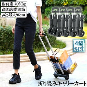 L[J[g ܂  4Zbg y É nhL[ ו^ԃJ[g ω׏d50kg Œ胍[vt ~ RpNg  4 Œ胍[vt z Lv AEg