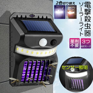dE E \[[Cg led ZT[Cg 悯 Ɩ  gp\ _lZT[Cg  RoG K[fCg Lv Cg ledCg lC