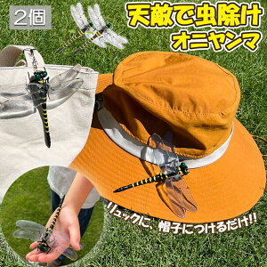 Ij}  ΍ Sst Xgbvt 2Zbg g{ 悯͌^ Xqdrsv iȂ nG  Q I L[z_[ qp  AEghA Lv 