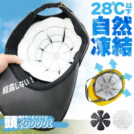 アイスパッド 帽子用 28度自然凍結 PCM 黒 白 アイスシート 結露無し ヘッドクーラー 頭皮冷却 冷感マット メットキャップ バケットハット 自転車 男性 女性 子供 高齢 冷却シート 暑さ対策 スポーツ 現場 外出 キャンプ アウトドア 夏