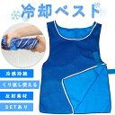 冷却ベスト クールベスト 冷感ベスト 冷却 熱中症 猛暑対策 冷却服 ひんやりグッズ 工事現場 工場内 屋外 スポーツ 冷…