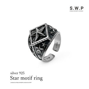 Vo[925 O t[ X^[  d Y t[TCY w Vo[ANZT[ IV lC s 