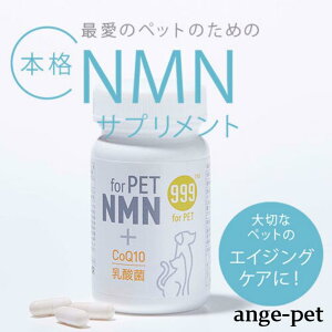 y聙10OFFN[|z ybgp -NMN for PET NMN 60 nmn Y ybgTv  L M~N Ɖu  GCWOPA N nmn Tv R_ A`GCWO ̋@\ RGUCQ-