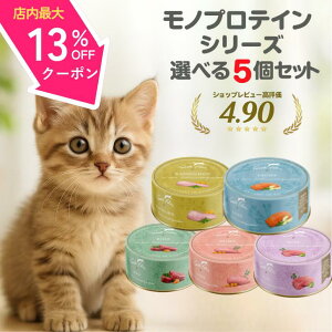 y15}\10%OFFN[|z etFX ʋl mveC L Iׂ5Zbg `L r[t ^[L[ rbg T[ 80g Lbgt[h EFbgt[h i Ki L 