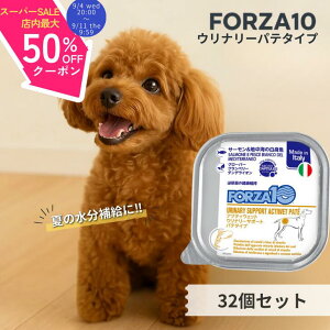 yX[p[SALEő50%OFFN[|z tHc@10 A 32Zbg ANeBEFbg Ei[T|[g hbOt[h tHc@fBG` Ö@H EFbg APA t[h  AH 