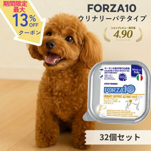 y15}\ő13%OFFN[|z tHc@10 A 32Zbg ANeBEFbg Ei[T|[g hbOt[h tHc@fBG` Ö@H EFbg APA t[h  AH 