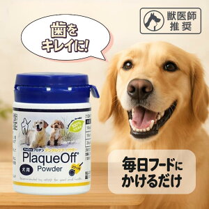 y1_tf[10OFFN[|z vf f^PA pE_[ p 40g nD  f^PA ӂ肩 I[PA oPA pTvg VRC o  Tvg