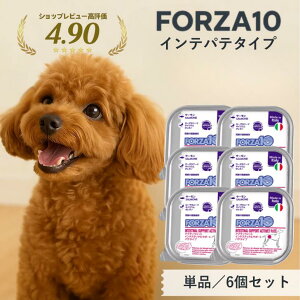 �_�ő�12��OFF�N�[�|���^ forza10 �� �ݒ� �C���e�X�e�B�i�� 100g �y�P�i 6�Z�b�g ���]����5�z �A�N�e�B�E�F�b�g ���p �t�H���c�@10 �E�G�b�g�t�[�h ���p �Ö@�H ���� �q�f �����P�A �݉� �p�e �g