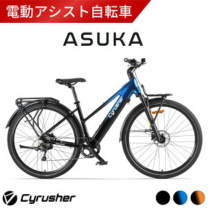 Cyrusher Asuka dAVXg] 700C (29C`) V}m10iϑ XebvX\t[ gbLOeBike 傫 TCbV[ AXJy[J[iz
