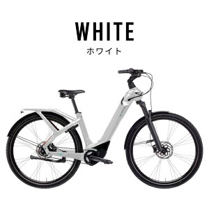 �y22���~�������݌ɏ����Z�[�����艿44���~�z�yC�^�C�v�^S�EM�^4�J���[�zBIANCHI E-OMNIA C-TYPE �r�A���L �d���A�V�X�g���]�� 29�C���` 5�i�ϑ� �J�[�{���x���g �`�F�[���J�o�[���� NEXUS �l�N�T�X E