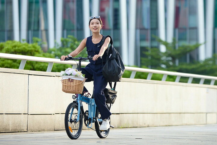 楽天市場】Cyrusher Sonder Lite 折りたたみ電動アシスト自転車 20 