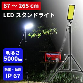 【毎日発送(平日)】【在庫処分】虫が集まらないLEDスタンドライト 収納バッグ付き 防水IP67 明るい5000lm 高さ/角度調整可能 三脚型 3段階調光 給電式 父の日