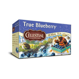 �Z���b�V���� �g�D���[ �u���[�x���[ 20TB