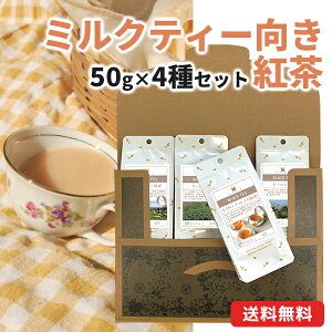 ~NeB[gZbg 50g×4 AbT Eo fBu L[} t [ g 