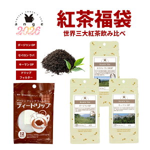 y2025N1227ȍ~͂zg 2026 EOgݔ gTK̗ 50g×3 g t [teB[ _[W L[} Eo eB[hbvtB^[   v`Mtg 