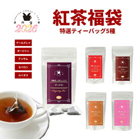 紅茶 2026 特選ティーバッグ5種 2g×10P 50杯 紅茶 ティーバッグ アールグレイ ダージリン アッサム セイロン ルイボス 福袋 お得 プチギフト 送料無料