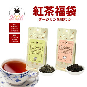 y2025N1227ȍ~͂zg _[W1sttbV 2ndtbV [teB[Zbg 50g×2 IWo[ g t   v`Mtg 