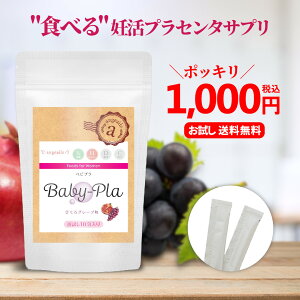 1000~|bL  vZ^ Tv DTv e [[ nvZ^  }J [[[ C{X ۑ F Ö sgp 30 40  AWFG[ xrv
