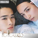 ★最大500円オフクーポン★カラコン フェアリー ワンデー ニュートラルシリーズ 1箱10枚入 ( カラコン FAIRY 1day ワンデー ワンデイ 度あり 度なし UVカット 着色直径 12.6 13.0 13.8 13.3 小さめ グレー DIA14.2 14.5 低含水 ブラウン 処方箋不要 シンシア )【ネコポス】