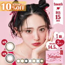 ★10％オフクーポン(2箱購入で)★カラコン 15mm カラコン 1ヵ月 ファビュラス 1箱 2枚入り | マンスリー ワンマンス 1ヶ月 カラーコンタクト 処方箋なし 処方箋不要 着色直径14.5mm 着色直径 大きい 大きめ BC8.7mm 黒 黒コン サンドイッチ 製法 【ネコポス】