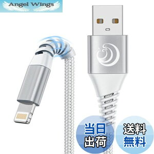 yziPhone [d P[u 1m Aioneus CgjOP[u 2{Zbg iPhone [dR[h LightningP[u iPhone P[u iC҂ ACtH[dR[h iPhone14 13 12 11 XR XS Pro Max SE 8 