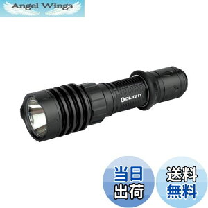 yzOLIGHT(I[Cg) WARRIOR X 4 d ledCg tbVCg ^NeBJCg fA[d 2600[ Px IPX8h ^ AEghA h x O pg[ (