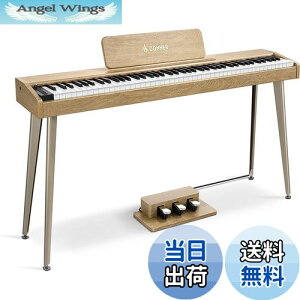 yzDonner dqsAm 88 ł񂵂҂ xVeBZVeBu ^b` MIDI 3{y_ X^h A_v^[t ݂ؐ S RpNg { I[N 