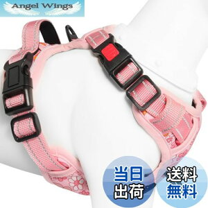 yz[2025ŐV^n[lX]BaoCheng p ^/^/^n[lX p h~ A^}ʂ P݌y TCY\ Ԕˍ Ȃ ʋC ȒP