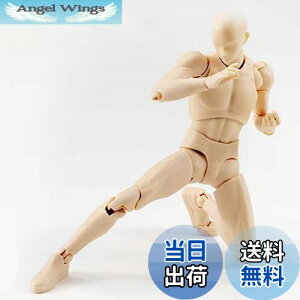 yzfbTf fbTl`f̖ jG}lLtBMAf ffbT fl`1/12  X^ht h[^Cv f ޗKp (jAF)