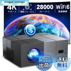 yzyߘa6N11ŐVdtH[JXᑛ100"XN[tƒprWlXpz YOWHICK vWFN^[ ^ 28000LMPx WiFi6uڑ `␳ 4KΉ 1080PtHD o