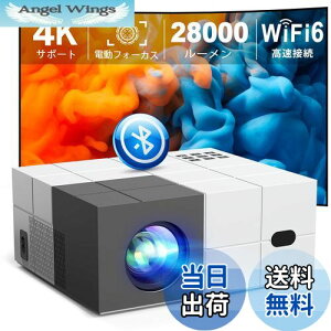 yzyߘa6N11ŐVdtH[JXᑛ100"XN[tƒprWlXpz YOWHICK vWFN^[ ^ 28000LMPx WiFi6uڑ `␳ 4KΉ 1080PtHD o