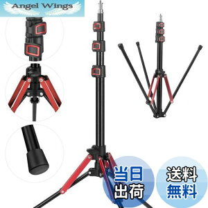 yzYAYOYA CgX^h Or 1{ Xg{ X^h 189cm A~+ABS y CgX^h Be RpNg Ɩ X^h t܂ 1/4lWt Ɩ Or 4iLk 